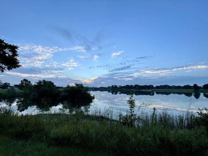 IMG_2890