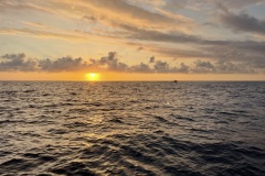 IMG_9415
