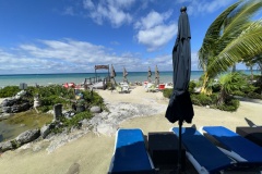 IMG_1367 IMG_1367