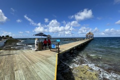 IMG_1429 IMG_1429