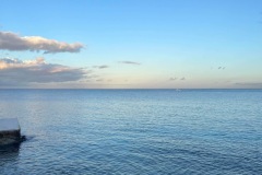 IMG_1544