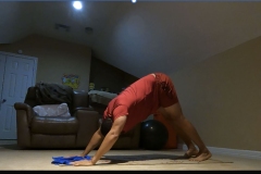 Downward Facing Dog Pose