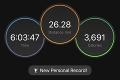 Run-summary Run-summary