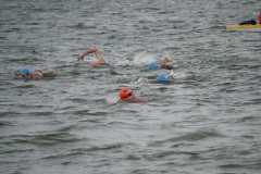 Swim - Lake Pflugerville Triathlon
