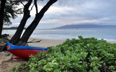 Maui…and my first half marathon run