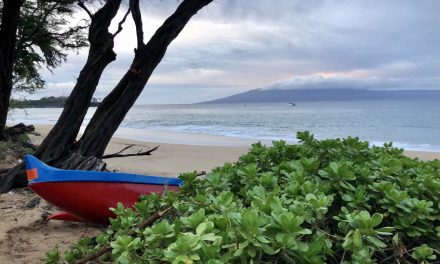 Maui…and my first half marathon run