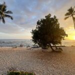 Training in Hawaii – finding my mojo