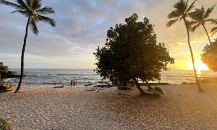Training in Hawaii – finding my mojo